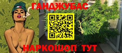 МДПВ Гай