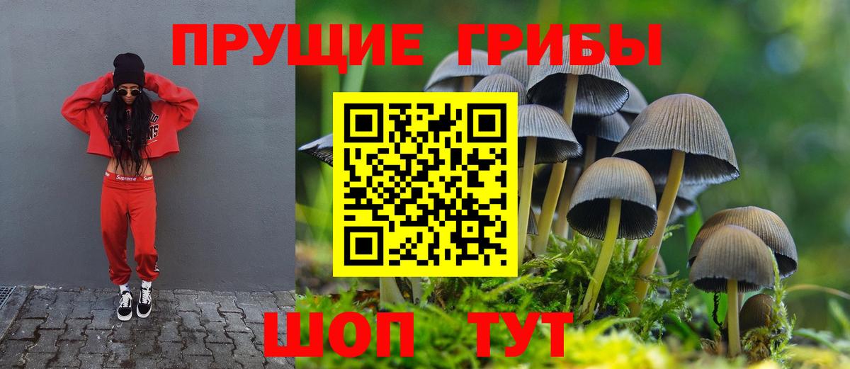 Галлюциногенные грибы MAGIC MUSHROOMS  Псилоцибиновые грибы GOLDEN TEACHER  Карталы  Вход с VPN 